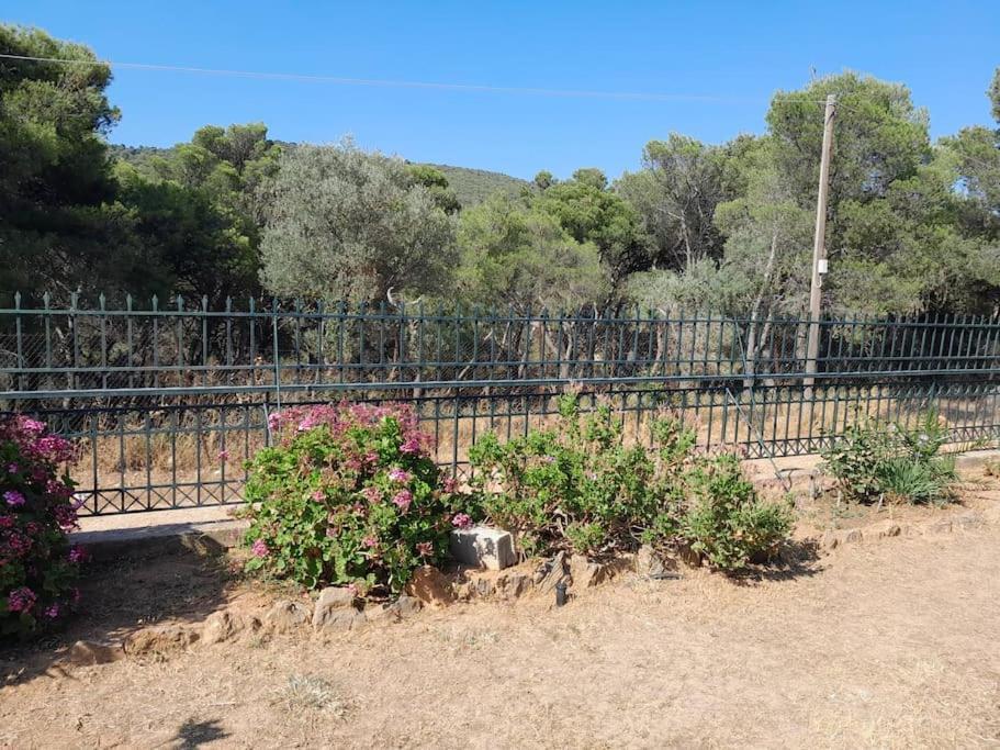 Dhaskalion Paradise מראה חיצוני תמונה
